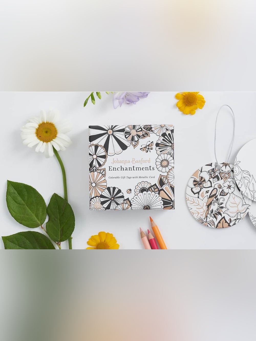 Johanna Basford Enchantments Colorable Gift Tags & Ornaments | New in Box